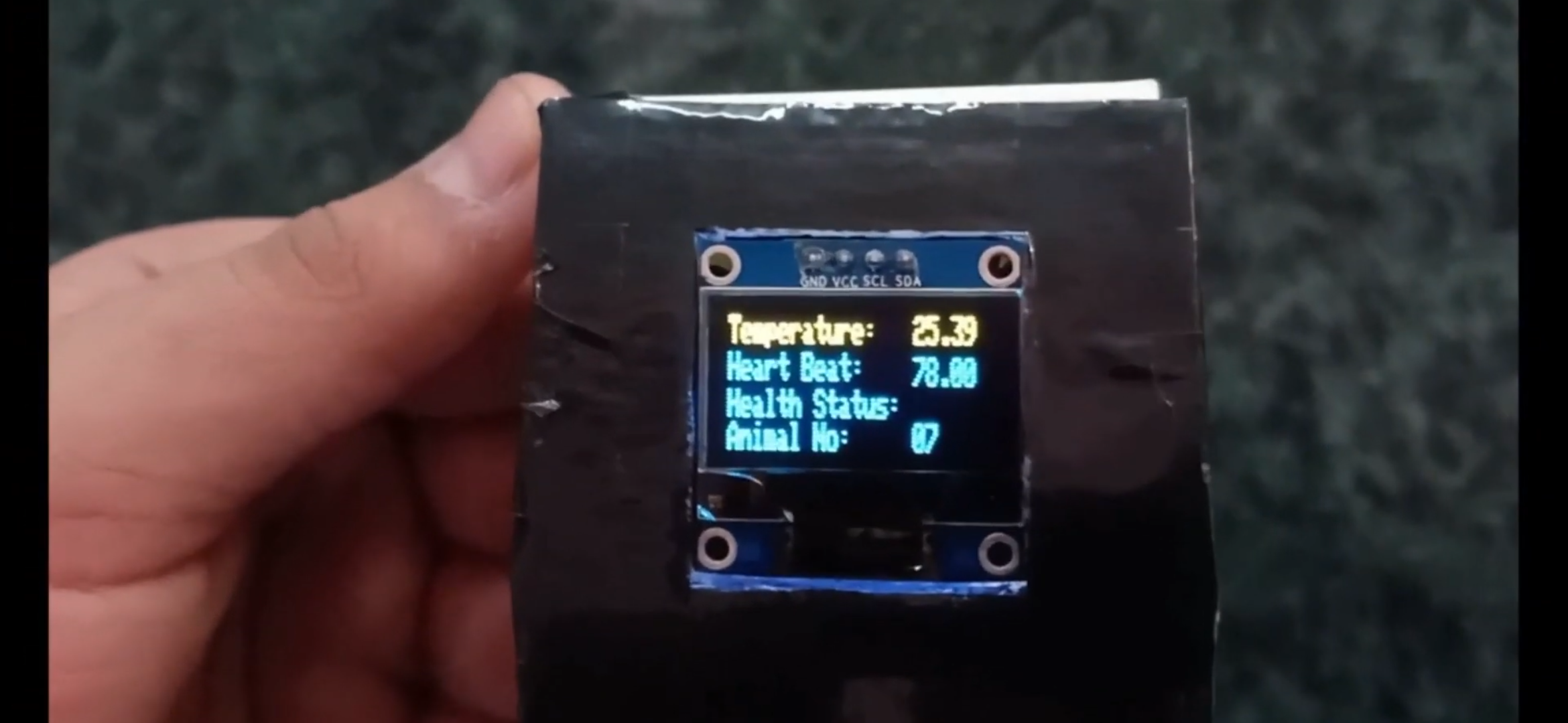 Brahm Dutt Blue Bells Public School  PROJECT SELECTED IN ATL MARATHON